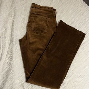 Brown Velvet Flared Jeans